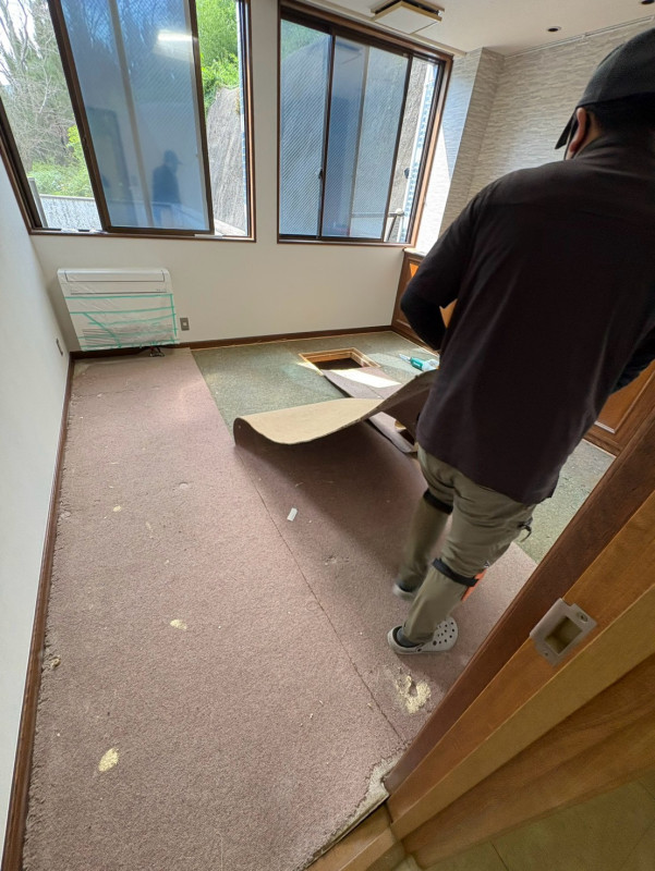既存カーペットをめくる作業